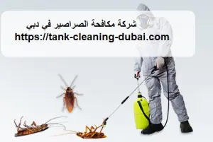 [صورة: %D8%B4%D8%B1%D9%83%D8%A9-%D9%85%D9%83%D8...1.jpg.webp]