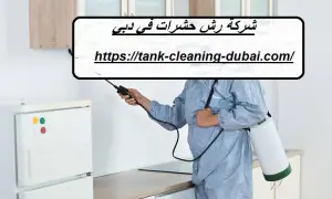 شركة رش حشرات في دبي