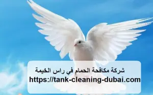 [صورة: شركة-مكافحة-الحمام-في-راس-الخيمة-300x186.jpg.webp]