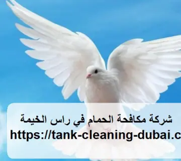 شركة مكافحة الحمام في راس الخيمة