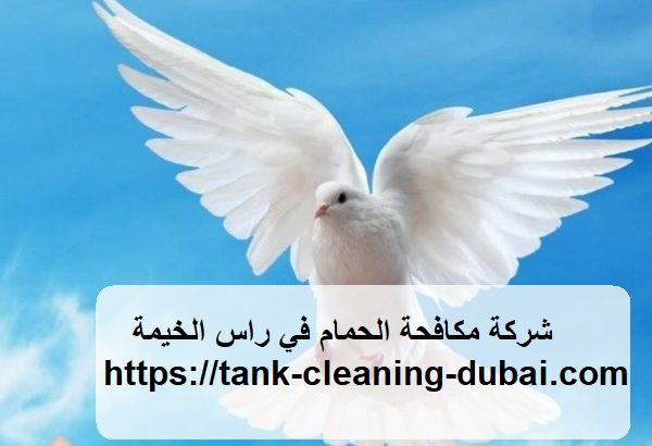 شركة مكافحة الحمام في راس الخيمة