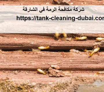 شركة مكافحة الرمة في الشارقة