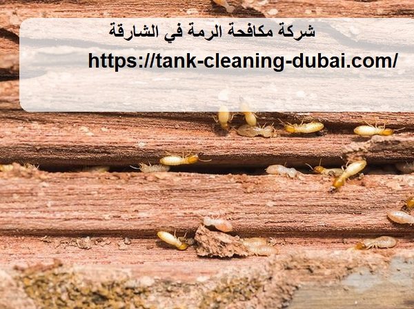 شركة مكافحة الرمة في الشارقة