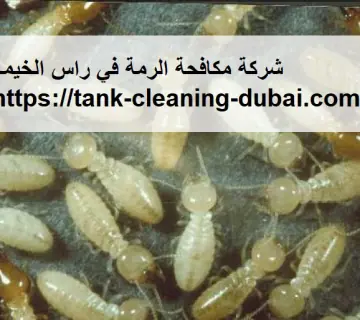 شركة مكافحة الرمة في راس الخيمة