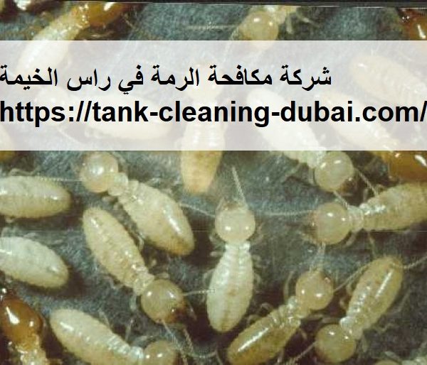 شركة مكافحة الرمة في راس الخيمة