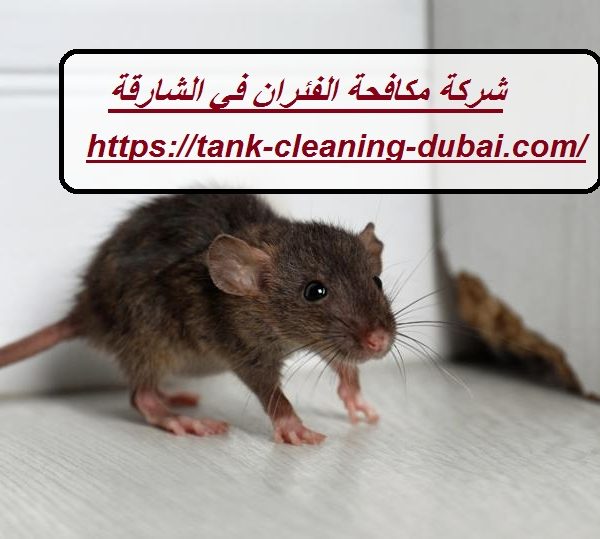 شركة مكافحة الفئران في الشارقة