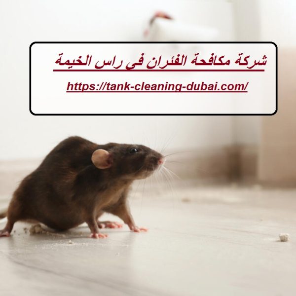 شركة مكافحة الفئران في راس الخيمة