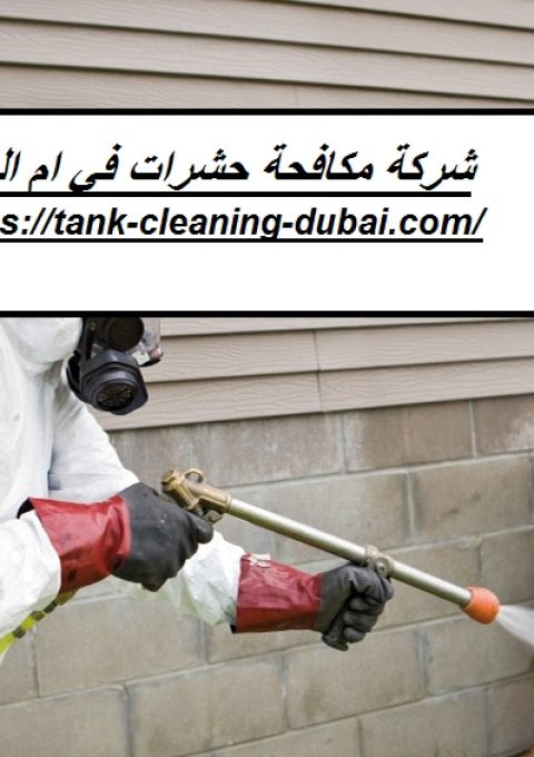 شركة مكافحة حشرات في ام القيوين