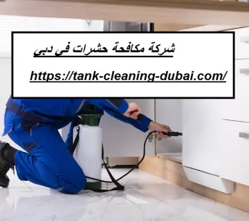 شركة مكافحة حشرات في دبي