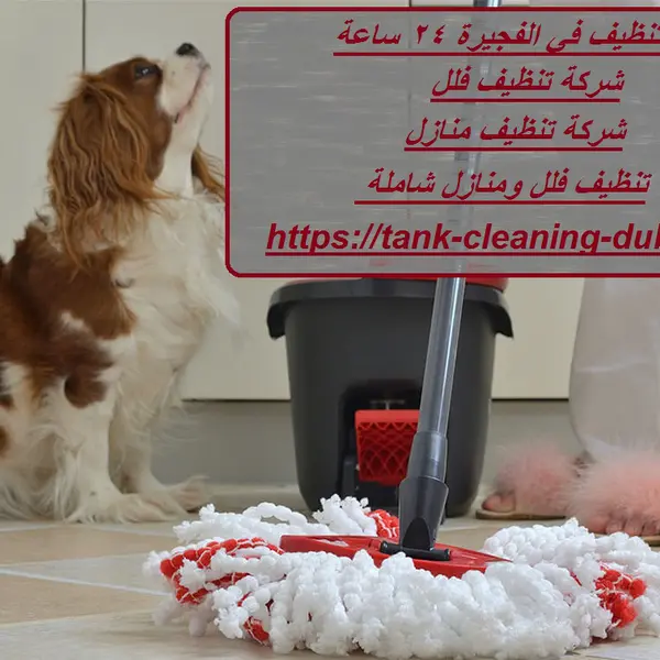 شركة تنظيف في الفجيرة 24 ساعة