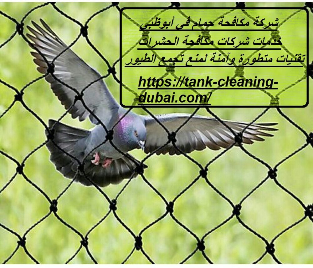 شركة مكافحة حمام في أبوظبي