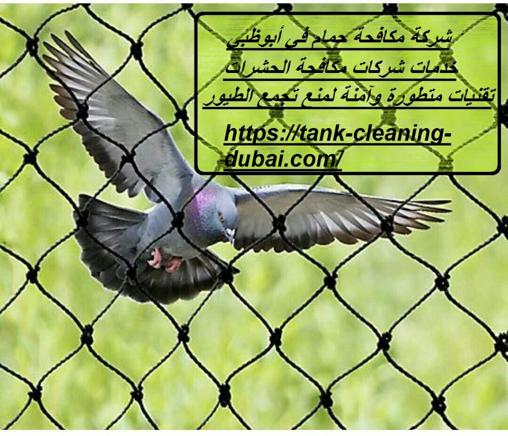 شركة مكافحة حمام في أبوظبي شركة مكافحة حمام في أبوظبي