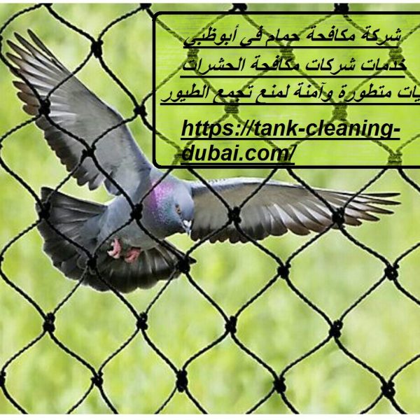 شركة مكافحة حمام في أبوظبي