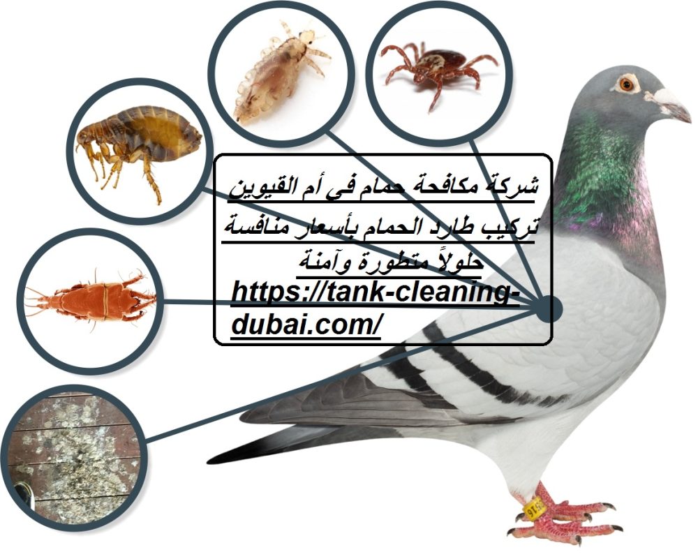 شركة مكافحة حمام في أم القيوين