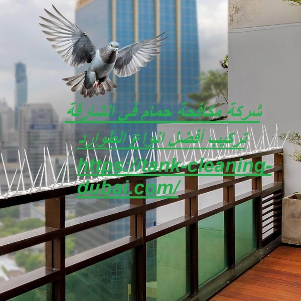 شركة مكافحة حمام في الشارقة