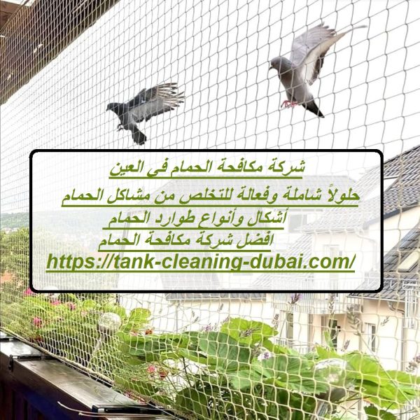 شركة مكافحة حمام في العين