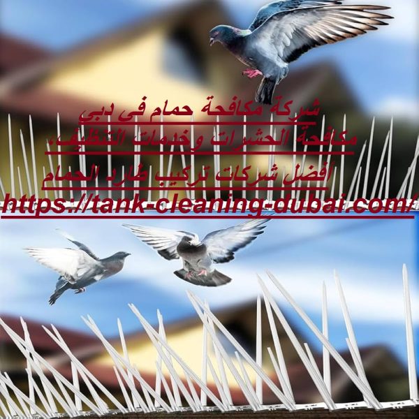 شركة مكافحة حمام في دبي