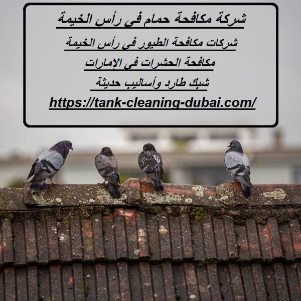 شركة مكافحة حمام في رأس الخيمة