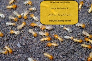 مكافحة الرمة في الشارقة