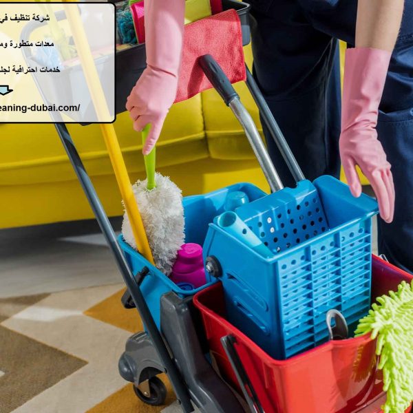 شركة تنظيف في القصيص دبي