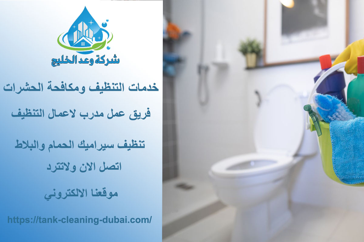 Bathroom cleaning-1