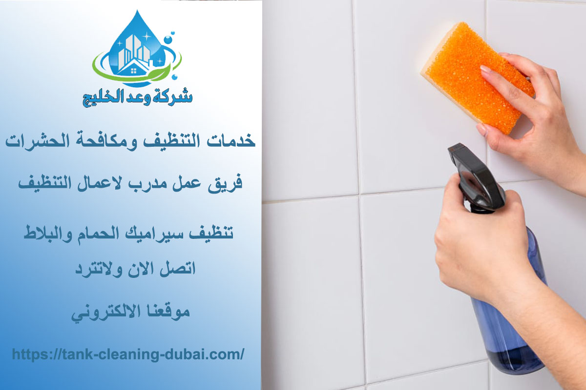 Bathroom cleaning