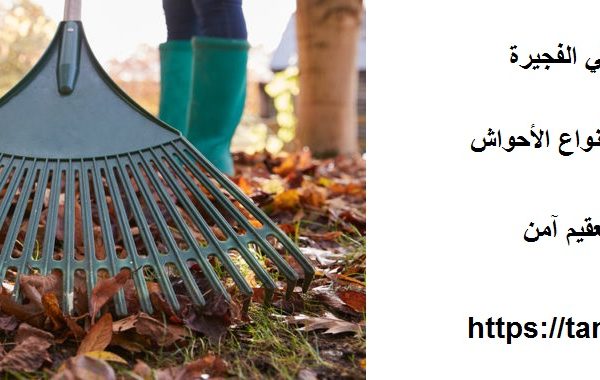 شركة تنظيف أحواش في الفجيرة