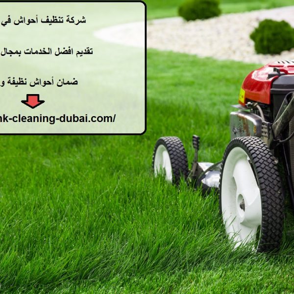 شركة تنظيف أحواش في عجمان