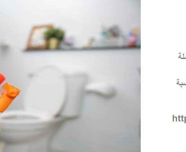 شركة تنظيف ملاحق في عجمان