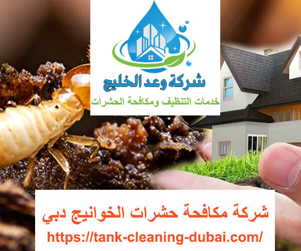 شركة مكافحة حشرات الخوانيج دبي